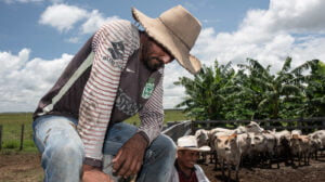 A Typical Day on a Ranch That Raises Cattle