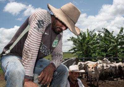 A Typical Day on a Ranch That Raises Cattle